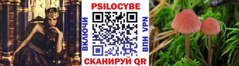 Псилоцибиновые грибы мицелий  Усть-Илимск 